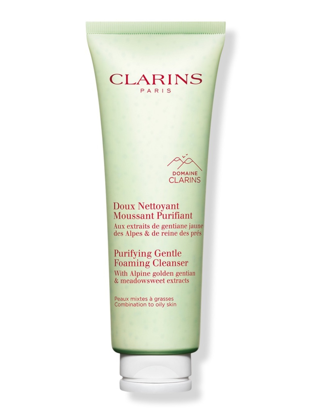 Clarins Purifying Gentle Foaming Cleanser FULL SIZE 4.2 Oz. SEALED/NEW IN BOX!